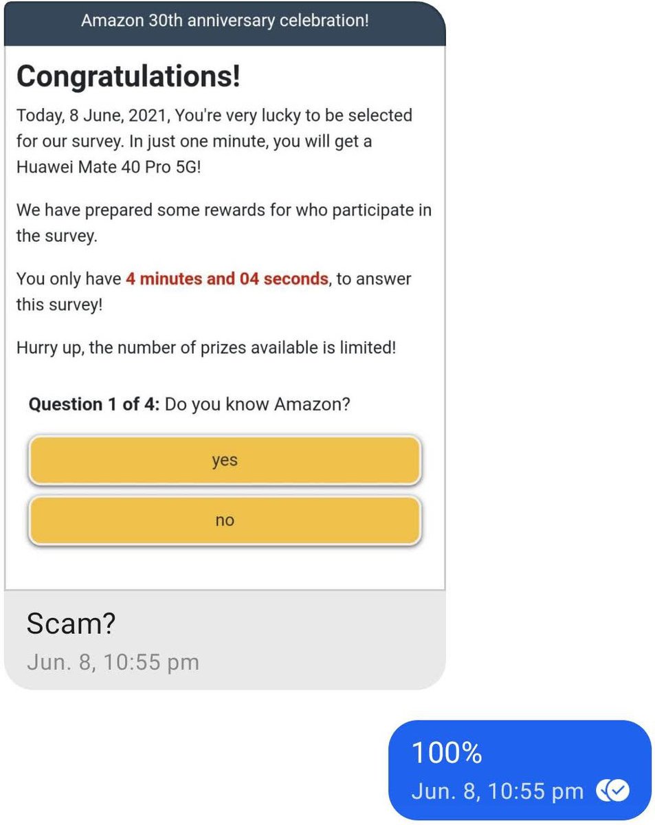 Screenshot of an Amazon scam text message